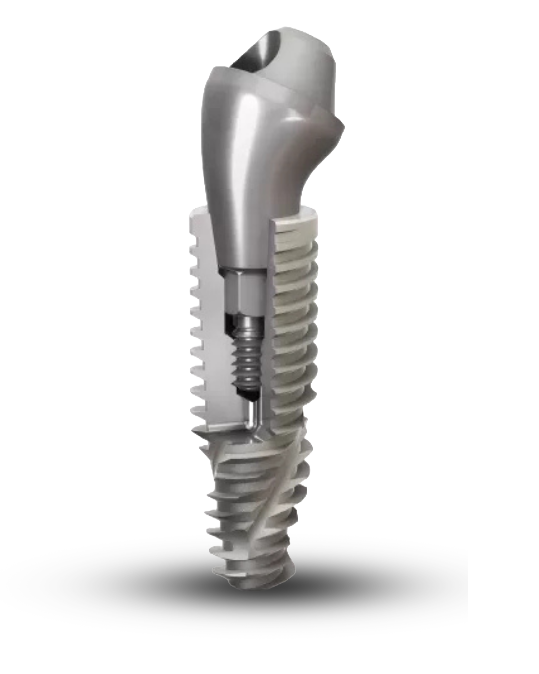 Neodent
