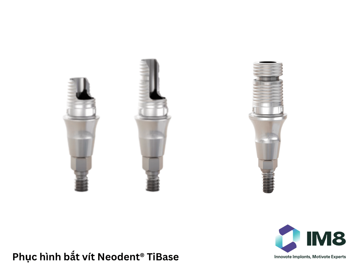 Phục hình bắt vít Neodent® TiBase