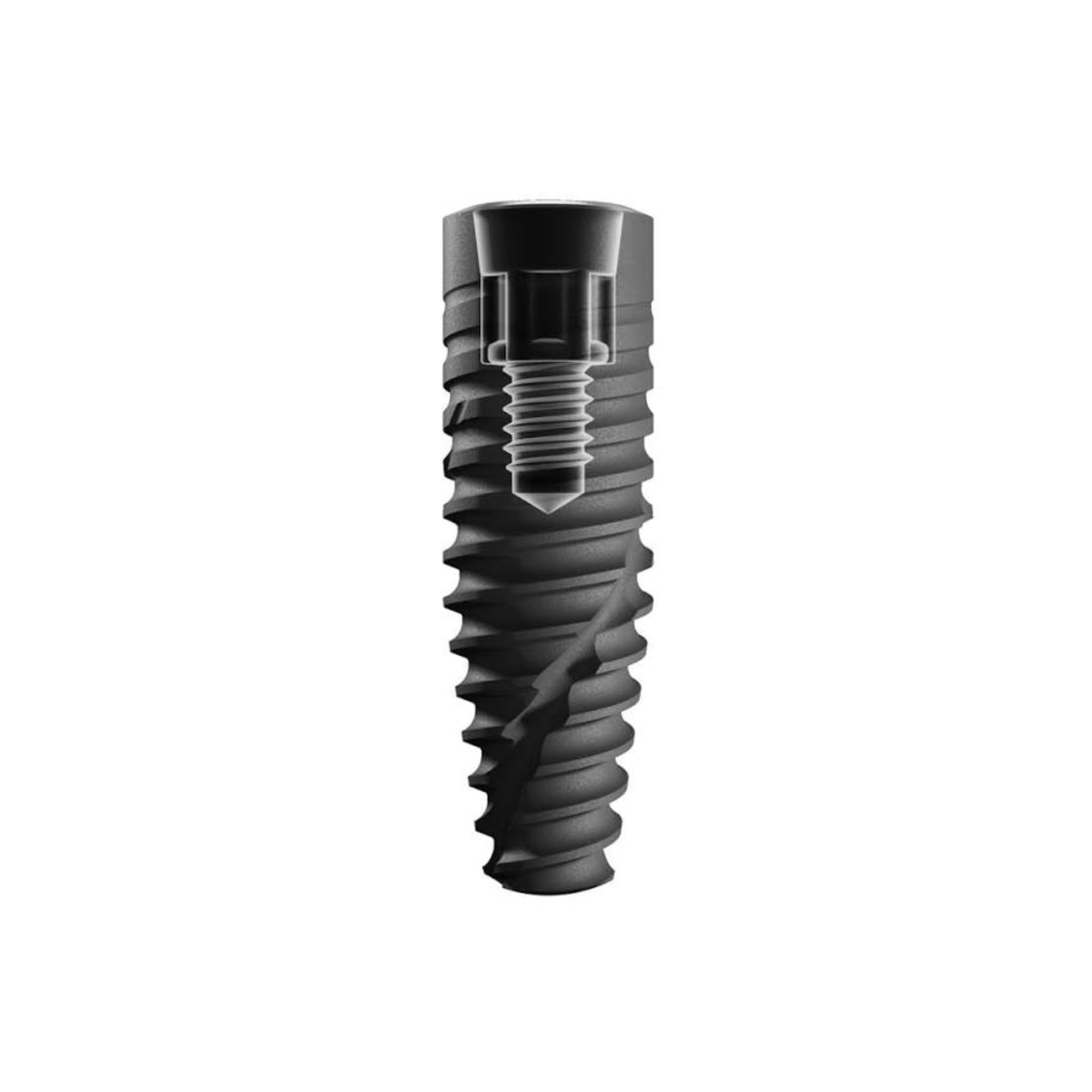Implant Straumann® BLC™