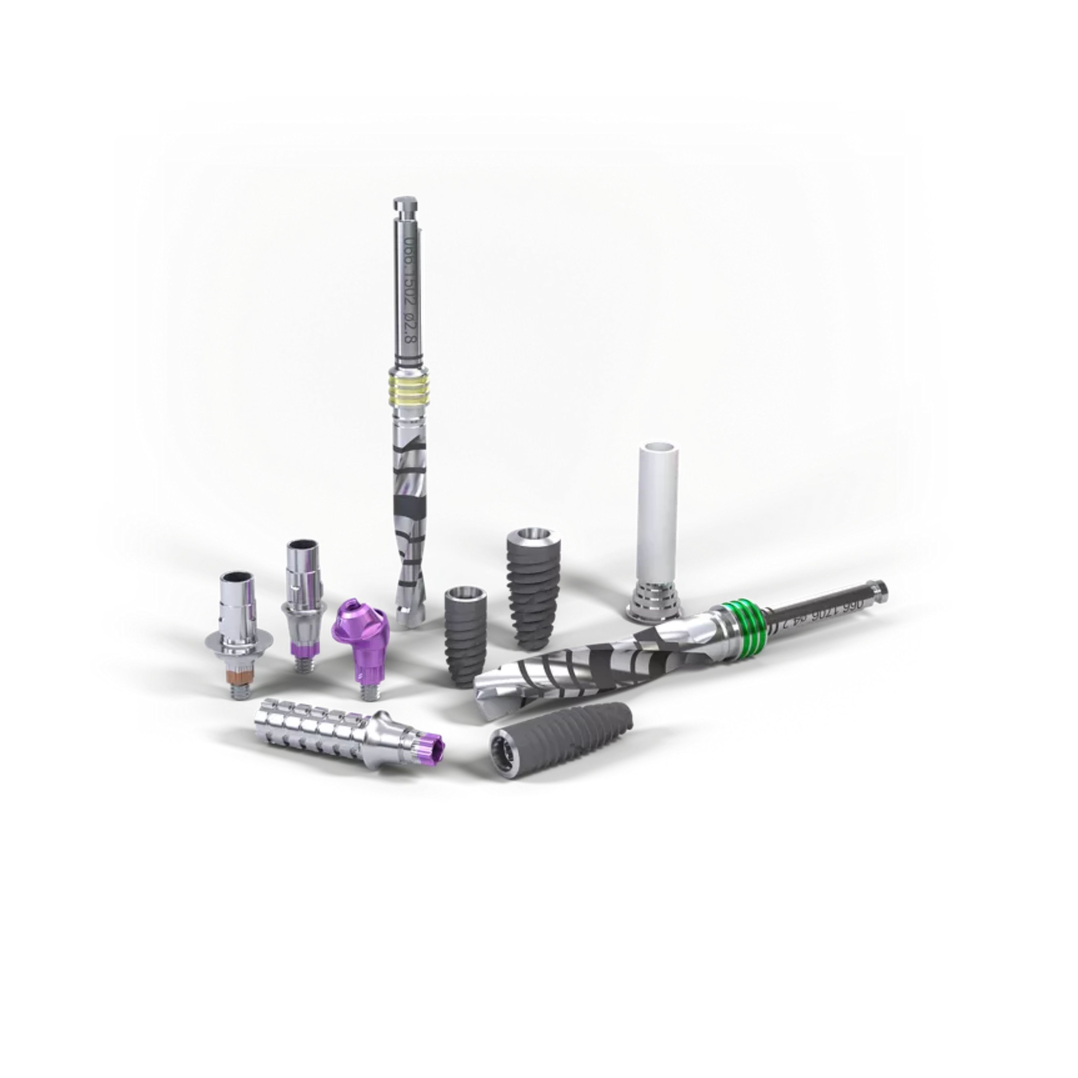 Implant Straumann® BLC™ 3